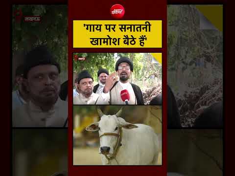 Syed Suhail | 'गाय पर सनातनी खामोश बैठे हैं' #shorts #bakrid #viral #upnews #cow #cmyogi #muslims thumbnail