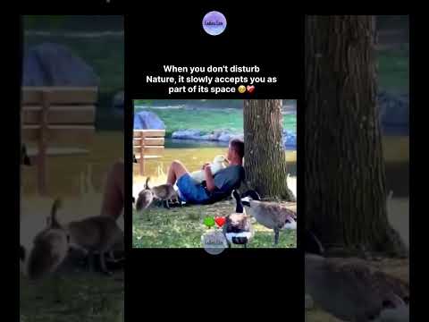 When you don't disturbNature, it slowly accepts you as part of its space 🥹❤️‍🩹 thumbnail