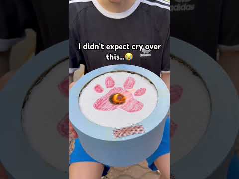 This is so cute ?❤️#pets #dogs #dogsoftiktok #dogloss #giftsideas thumbnail