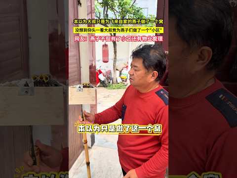 本以為大叔只是為飛來自家的燕子做了一個窩，沒想到仰頭一看大叔竟為燕子們做了一個"小區"，網友：燕子不但有了小區還有物業管理！#shorts thumbnail