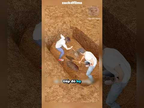Các ngư dân đã chặt đôi con cá mập rồi chôn nó dưới cát#shorts #facts thumbnail