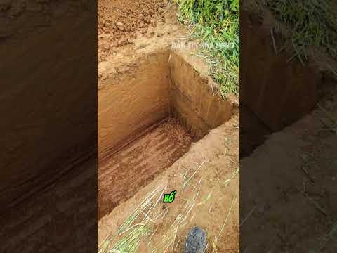 Anh lái máy xúc ngày đầu đi làm khiến ông chủ mê tít vì kỹ năng đào hố quá đỉnh thumbnail