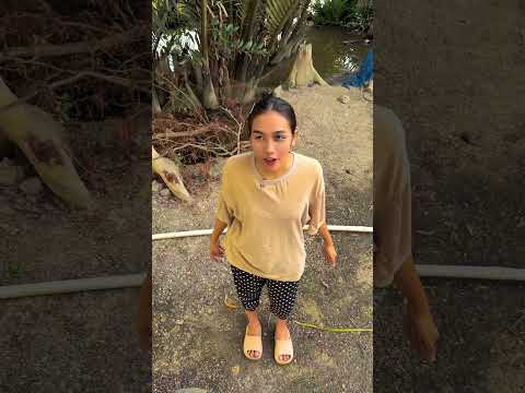 DÁM ĂN TRỘM ME HÃ #haibadane #shorts thumbnail