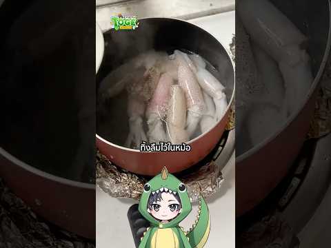 ทำไมปลาหมึกสุกแล้วหด | TOGE トゲ thumbnail