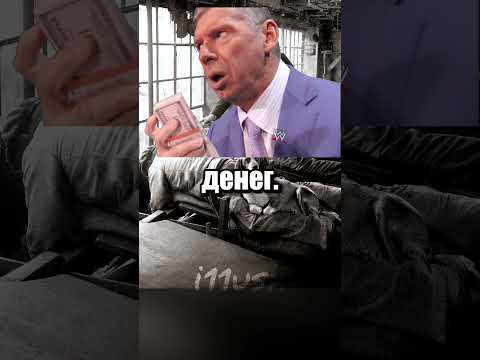 Собаки-обогреватели спины 🐶 thumbnail