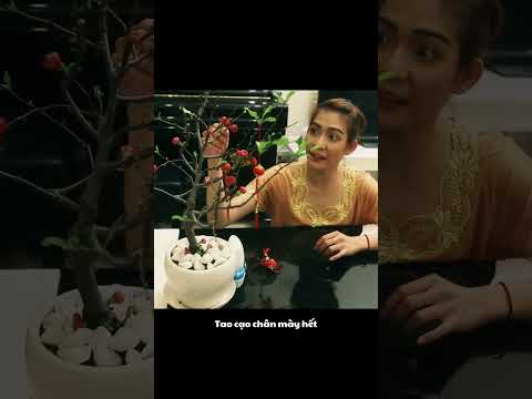 BB&BG : Khi cho 3 bà rảnh ngồi lại với nhau #shorts thumbnail