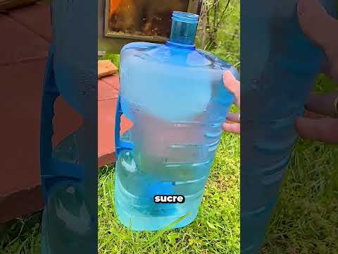 Comment on fabrique réellement le sirop d'érable 🍁 thumbnail