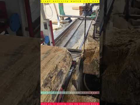 Wood Cutting Machine in Action ? | Saw Mill Full Process#Sawmill #WoodCutting#FactoryProcess #Timber thumbnail