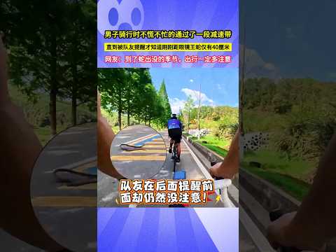 男子騎行時不慌不忙的通過了一段減速帶，直到被隊友提醒才知道剛剛距眼鏡王蛇僅有40釐米，網友：到了蛇出沒的季節，出行一定多注意！#shorts thumbnail