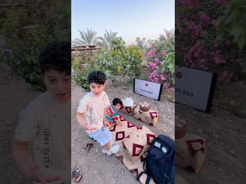فرحتهم بال17 مليون 🔥🤣#مجودي #جودي #نتiraq thumbnail