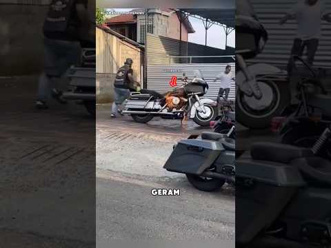 Detik Detik Moge di Bali Kebakaran thumbnail