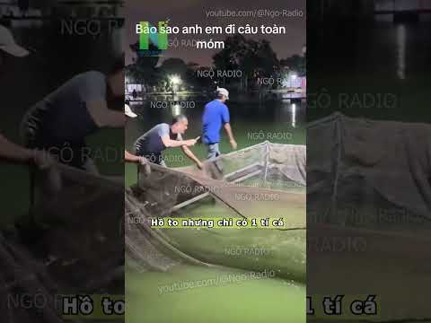 Hồ to nhưng chỉ có 1 tí cá thumbnail