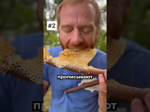 Он ел соты, не зная опасной детали 😳 thumbnail