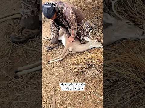 صياد طيب يساعد غزال في ورطة thumbnail