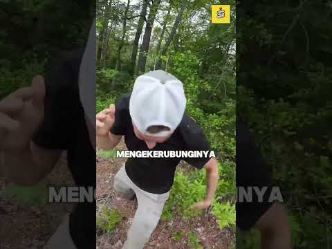 BERANAK PINAK! thumbnail