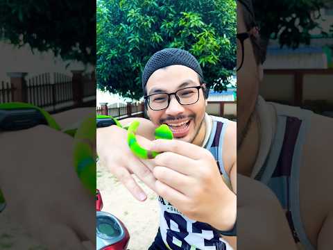 เจองูห้ามใช้ไม้ตีนะลูก!! 🐍😂 #funny #comedy #drama #humor #memes #youtube #shorts #minmayang thumbnail