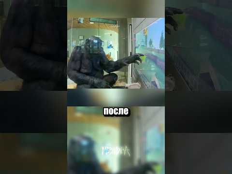 Сможет ли обезьяна пройти майнкрафт? thumbnail