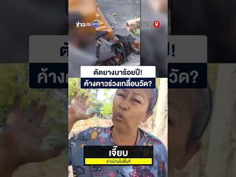 ตัดยางนาร้อยปี! ค้างคาวร่วงเกลื่อนวัด thumbnail