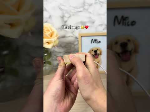 Wait for it ? #pets #dogs #dogsoftiktok #dogloss #giftsideas thumbnail