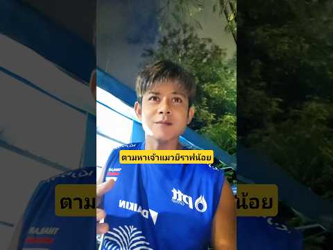 ตามหาเจ้าแมวยีราฟน้อยออกไปเล่นซนที่ไหนเนี่ย🤔😆 #บังเอิญเจอ #funny #comedy #การแสดงเท่านั้น thumbnail