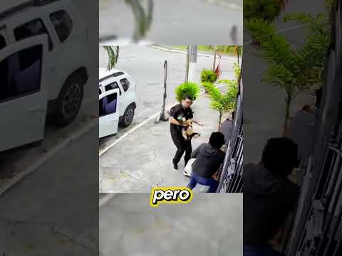 Hombre protege a su perro de un pitbull thumbnail
