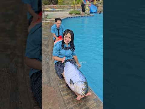 ikannya ko di geong geong yah #trandingshorts thumbnail
