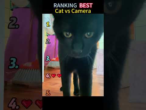 #pov #tools #foryoupage #fyp #fypシ゚viral #fypツ thumbnail