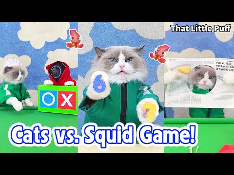 Squid Game🦑But With Cats 🐱 Who Wins? | That Little Puff thumbnail