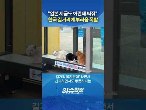 "일본 세금도 이런데 써줘" 한국 길거리에 부러움 폭발 [이슈한컷] #shorts / YTN thumbnail