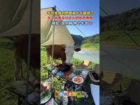牛: 让我尝尝你烤的是不是我二舅 thumbnail