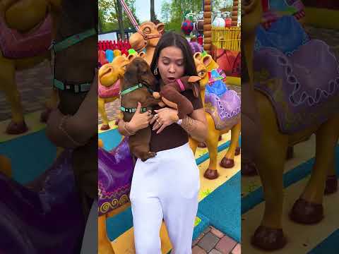 THE MAGIC CHAPITOSIK?? #shorts thumbnail