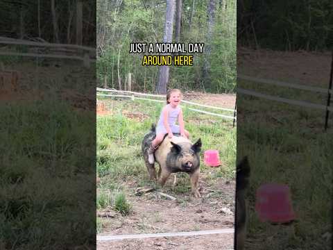 Just Another Normal Day on the Farm with Baby ?? #farmlife #farmbaby #countrykids #shorts thumbnail