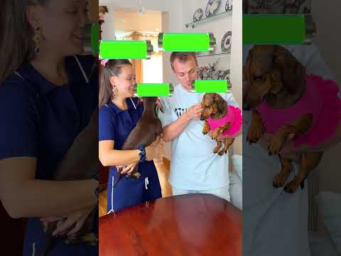 ДОБРО ДОЛЖНО ВОЗВРАЩАТЬСЯ🫶 thumbnail
