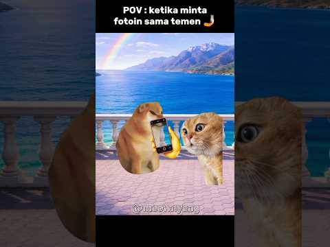 temen yang ngeselin 😭 #cat #memes #komedi #lucu #trending thumbnail