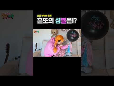 흔한부부의 둘째 흔또의 성별은?!?!?!? thumbnail