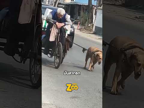 คำว่า “คู่ชีวิต”ในวันที่เหนื่อยที่สุด thumbnail