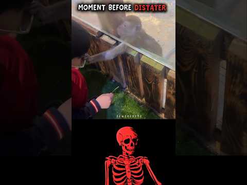 #aestheic thumbnail