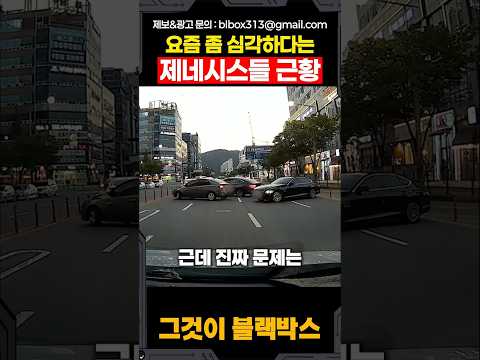 요즘 좀 심각하다는 제네시스들 근황 thumbnail