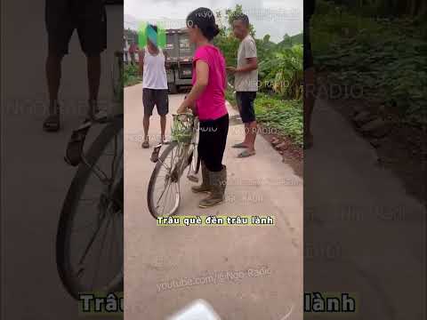Trâu què đền trâu lành thumbnail