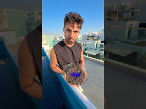 المسبح اختفى تحت الأوربيز !! 🤯 thumbnail