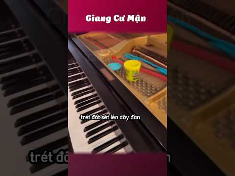 Nghe cũng gì và này nọ 🎹 #giangcuman thumbnail