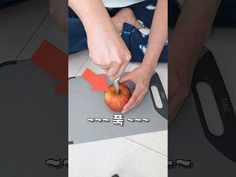 쓸모 있는 것을 사버린 유튜버 thumbnail