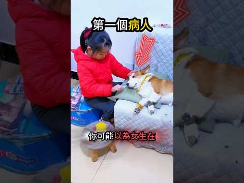 為了小醫生??‍⚕️狗狗十分配合☺️ thumbnail