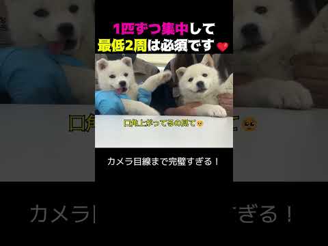 「本当の可愛さ」を見せてあげる！?✨1 thumbnail