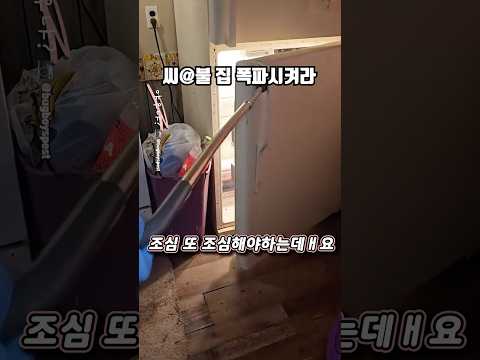 미국에서 집구할때 절대 조심해야 하는 이유 vlog thumbnail