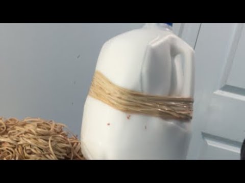 EXTREME MILK EXPLOSION!!!! thumbnail