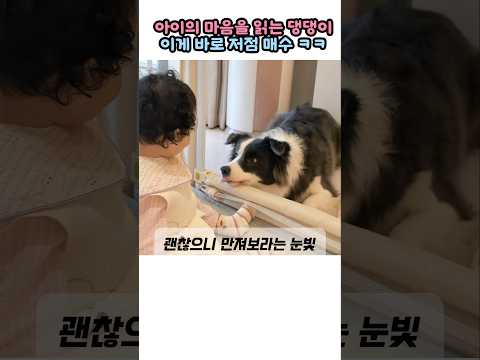 눈을 마주치면 통해요 ㅋㅋ thumbnail