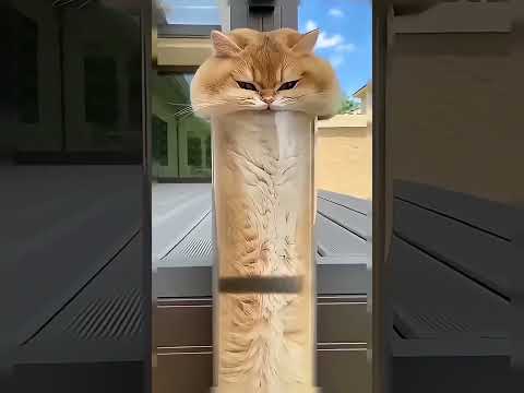 **القطة العالقة في الأنبوب… هل ستنجو أم ستكون أنت التالي؟** thumbnail