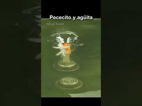 PECECITO Y AGUITA thumbnail
