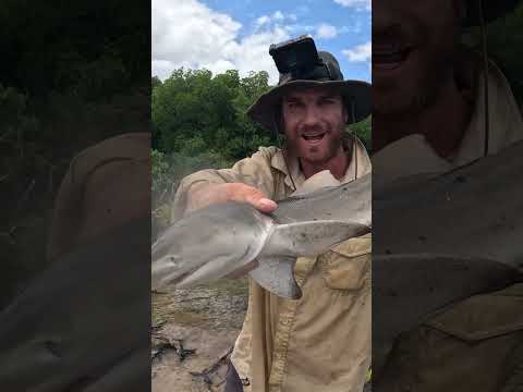 Fishing Challenge in Australia 🐟 thumbnail